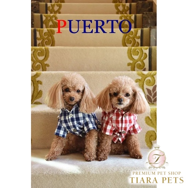 プエルト PUERTO ギンガム半袖プルオーバー【小型犬 犬服 御召しもの トップス 長袖 プルオーバー セレブ】