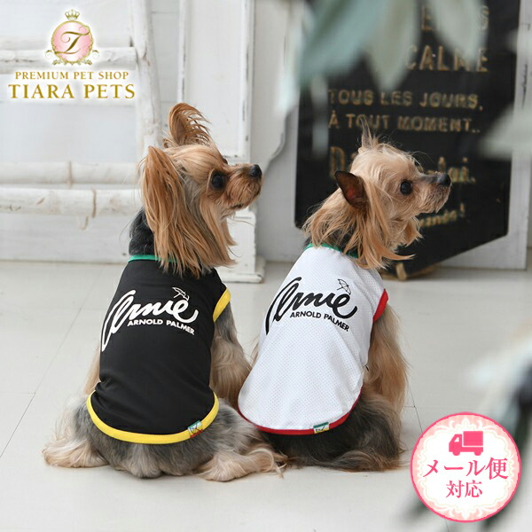 楽天市場】アーノルドパーマー arnold palmer マルチボーダー Ｔシャツ【犬服 小型犬 ウエア トップス Tシャツ カジュアル】 :  TIARA PETS