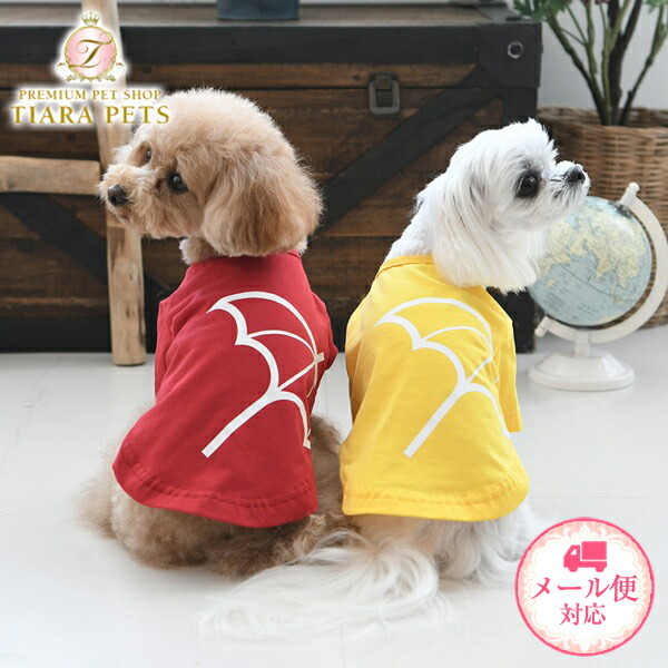 楽天市場】アーノルドパーマー arnold palmer マルチボーダー Ｔシャツ【犬服 小型犬 ウエア トップス Tシャツ カジュアル】 :  TIARA PETS