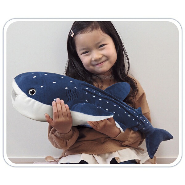 楽天市場 もちもちジンベイザメさん 玩具 おもちゃ 魚 サメ 鮫 ぬいぐるみ インテリア ギフト 誕生日 プレゼント 景品 イベント 子ども会 幼稚園 施設 運動会 遠足 行楽 夏祭り 色柄指定不可 こどもモール タイガーキャット