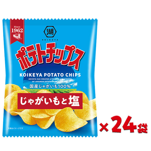 単価1700円 1836円税込 うすしお味4連 お祭り イベント プッチ4 プレゼント 人気 保育園 堅あげポテト 子供会 幼稚園 景品 春早割  堅あげポテト