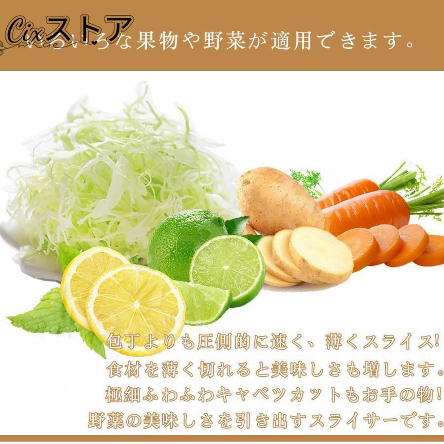スライサー 玉菜 千切り 薄切り (本体ステンレス鋼 替刃2枚付) お役目用 手動 蔬菜截断機 食麺麭 お肉 蔬菜 千切り 身寄り用 お役目用