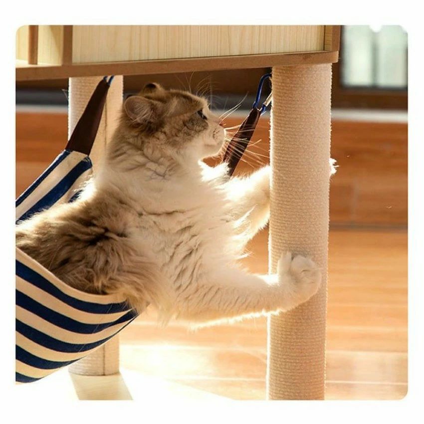 多役立つことキャットタワー 猫 爪とぎ オシャレ ヤシ科の掘ったて小屋 玉付き添い人 ハンモック付き添い人 飛び降りる台 猫掘ったて小屋 サイザル麻一巻き ねこ 猫 爪とぎポー