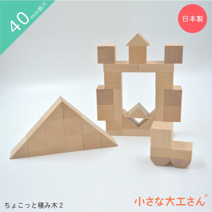 【送料無料】小さな大工さん ちょこっと積み木2 5種類の積み木が入ったちょこっとセット 40mm基尺