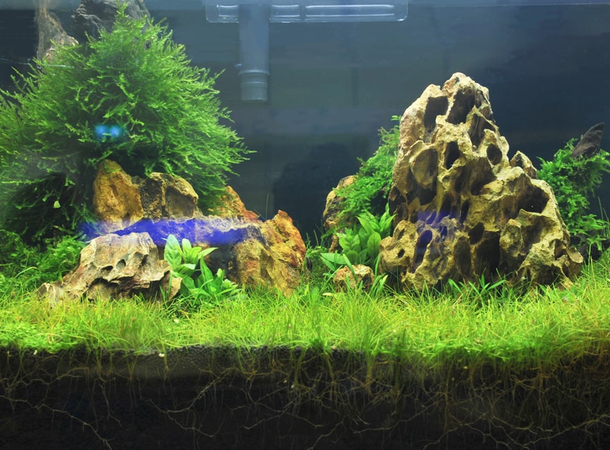 再入荷 水槽用石 レイアウト 水槽 石 岩 気孔石 縦置き 約14 18cm 大サイズ 4個セット 水槽石 アクアリウム 水槽用 自然石 天然石 レイアウトストーン 石組み アクアリウム用品 大きい アクアリウムストーン アクアリウムロック 装飾 60cm水槽向け Sferavisia Hr