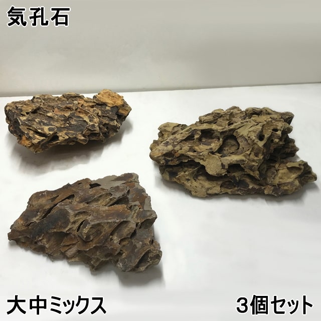 楽天市場】水槽用石 アクアリウム 水槽用 石 気孔石 気孔石 小 約7 