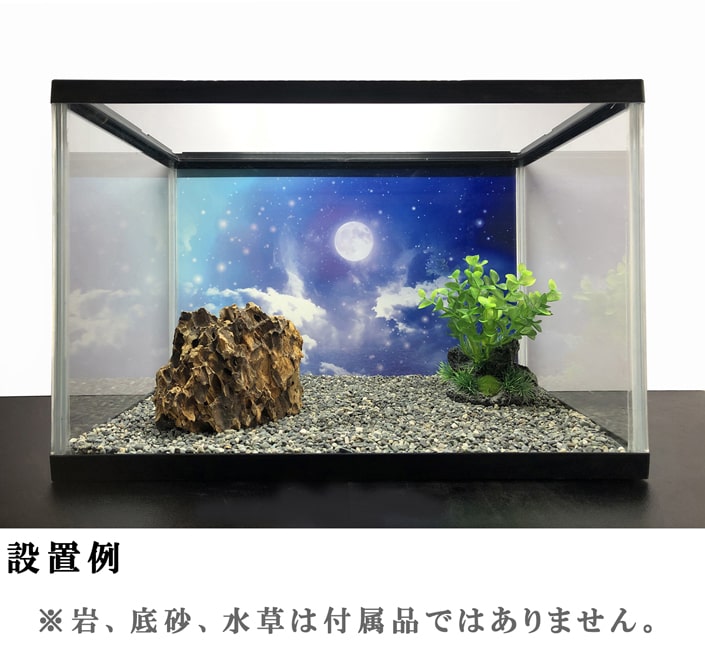 30cm水槽用バックスクリーン - 魚用品