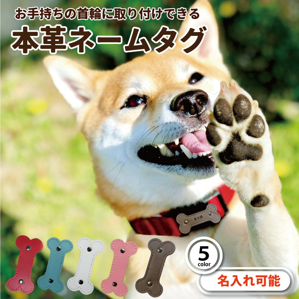 楽天市場】【アウトレット】レザースタイルカラー (XS) 犬用首輪 超