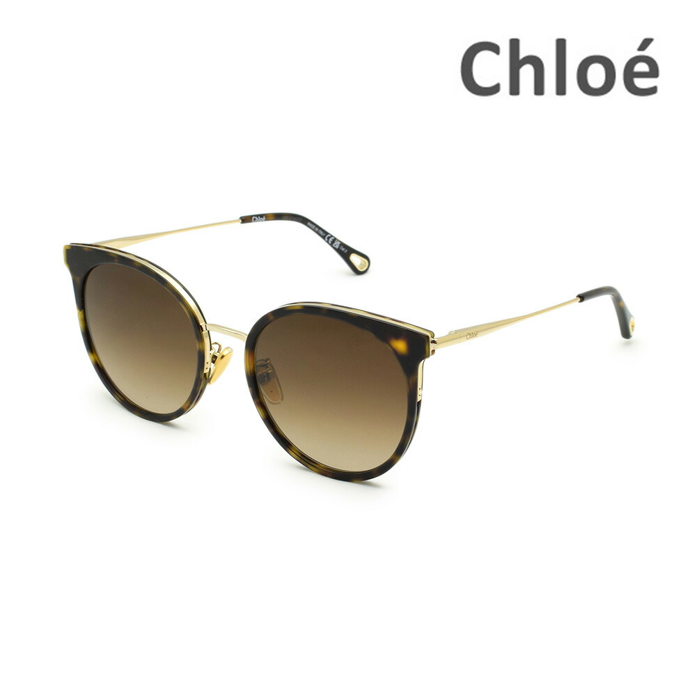 ch0060sk-002-1.jpg