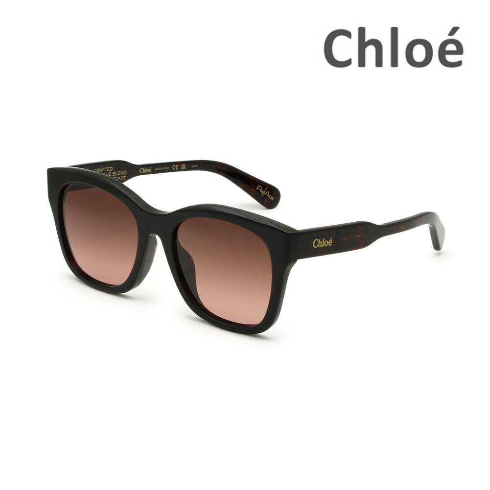 【国内正規品】Chloe クロエ サングラス CH0194SK-002 ハバナ アジアンフィット レディース UVカット【送料無料（※北海道・沖縄は1,000円）】｜タイムクラブ