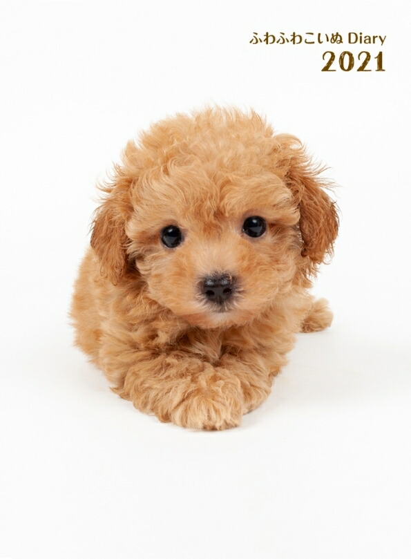 楽天市場 手帳 21 ｲﾝﾌﾟﾚｽ 21年1月始まり 手帳 2週間式 ﾎﾘｿﾞﾝﾀﾙ A6 ふわふわこいぬdiary 21 大人かわいい おしゃれ 可愛い キャラクター 手帳カバー ｽｹｼﾞｭｰﾙ帳 手帳のﾀｲﾑｷｰﾊﾟｰ 手帳のタイムキーパー