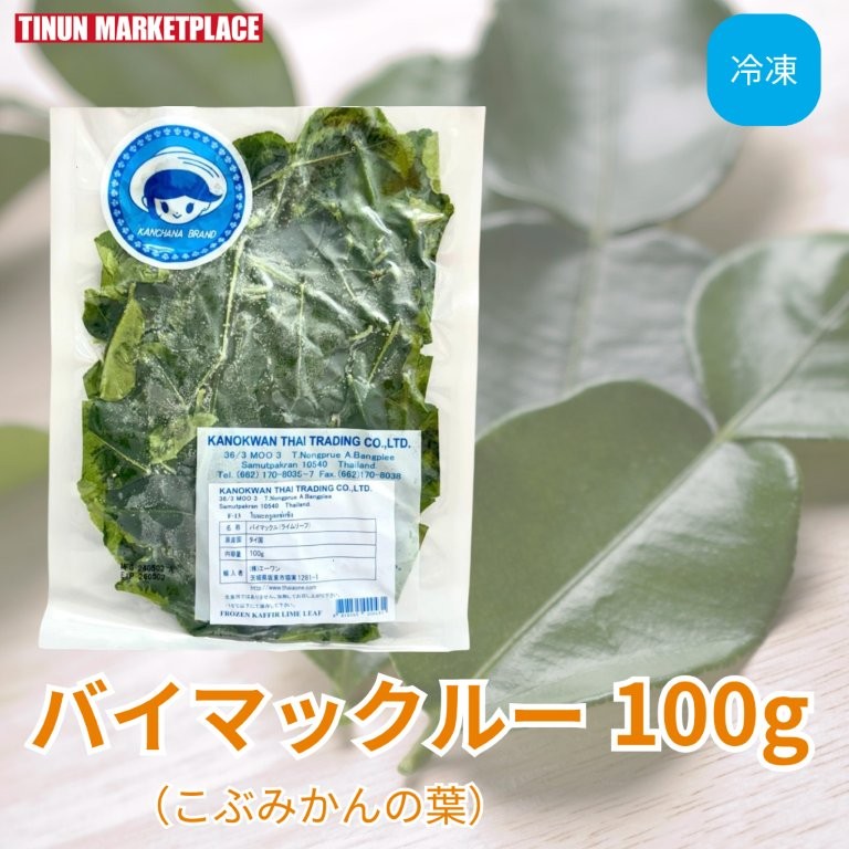 こぶみかん.カレーリーフ５点セット Amazon.co.jp: 《コブミカン＆カレーリーフ 6号鉢》スリランカ