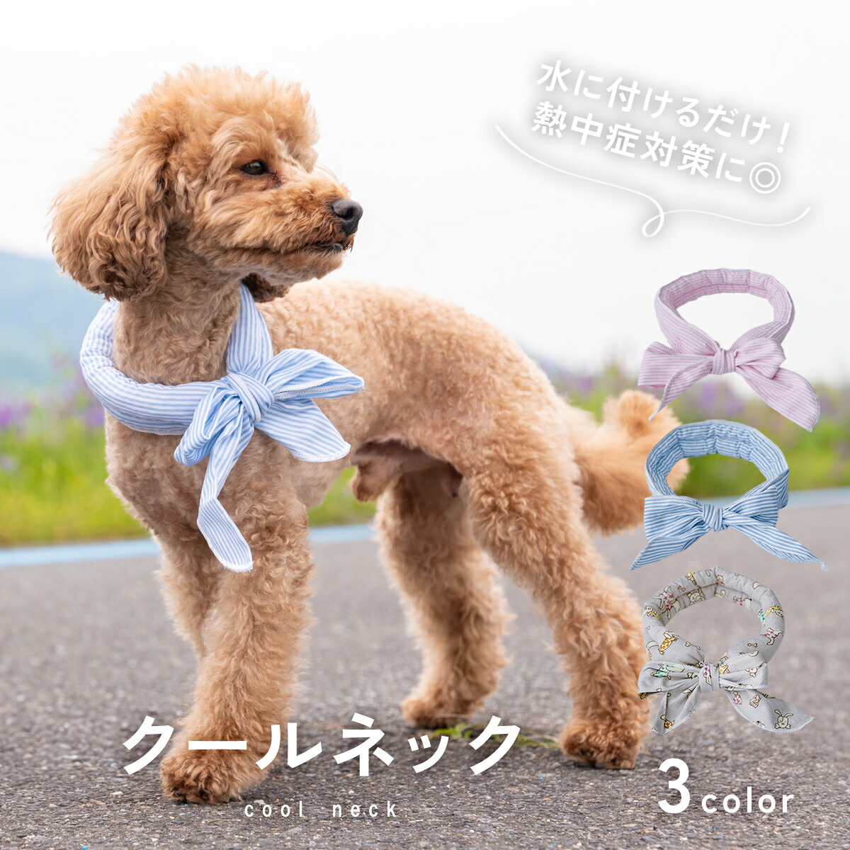楽天市場】【LINE追加10％OFFクーポン】【熱中症予防◎】犬 クール
