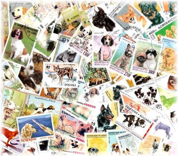 楽天市場 海外 外国の犬の切手 使用済み切手 ２０枚 タイニーフラワーズ