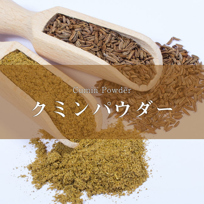 楽天市場】クミンパウダー Cumin Powder 【100g ボトル】 / スパイス カレー インド TIRAKITA お買い得 お試し 食品 食材  アジアン食品 エスニック食材 : インド雑貨・アジア雑貨-TIRAKITA