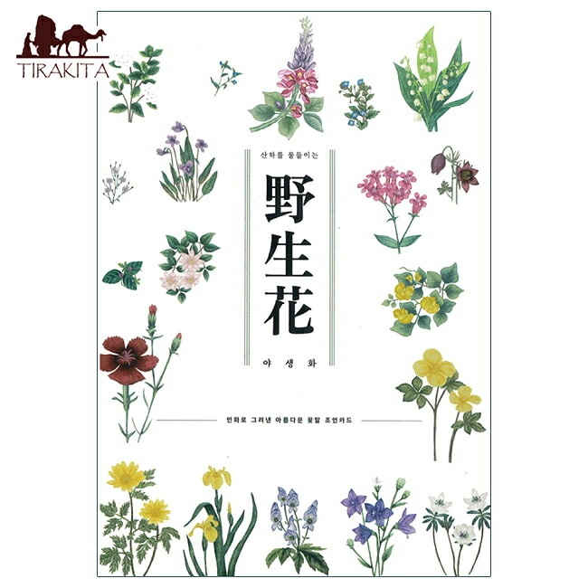 楽天市場】【お買い物マラソン最大 2222 円クーポン配布中