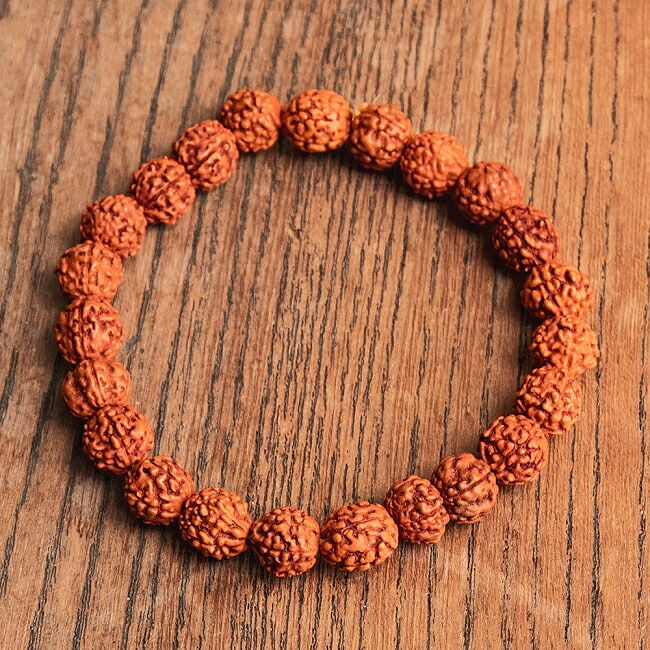 【見本品】ルドラクシャ☆神聖幾何学フラーレン☆菩提樹の実☆シブァの涙　展示品 菩提樹の実ルドラクシャとシェルパコーラル のピアス