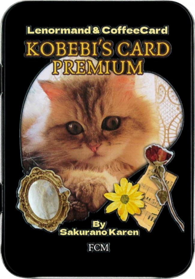 入荷1点のみ✨スペイン作家のキュートデッキ✨柔らか猫ちゃんのルノルマンカード ✨待望の猫ちゃんデザイン！✨ゆるふわな猫ちゃんのルノルマン