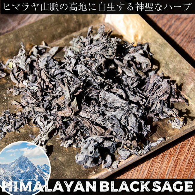 SuperSale ヒマラヤン 黒いこと サルヴィア 有り難いなるヒマラヤ山脈に自生する生まれながらの薬草 スマッジング 斎戒もく浴 / dream weed 黒いことサルヴィア black sage Himalayan マインドフルネス 結晶 白いことサルヴィア お香 はたご屋感覚 アジア エスニック