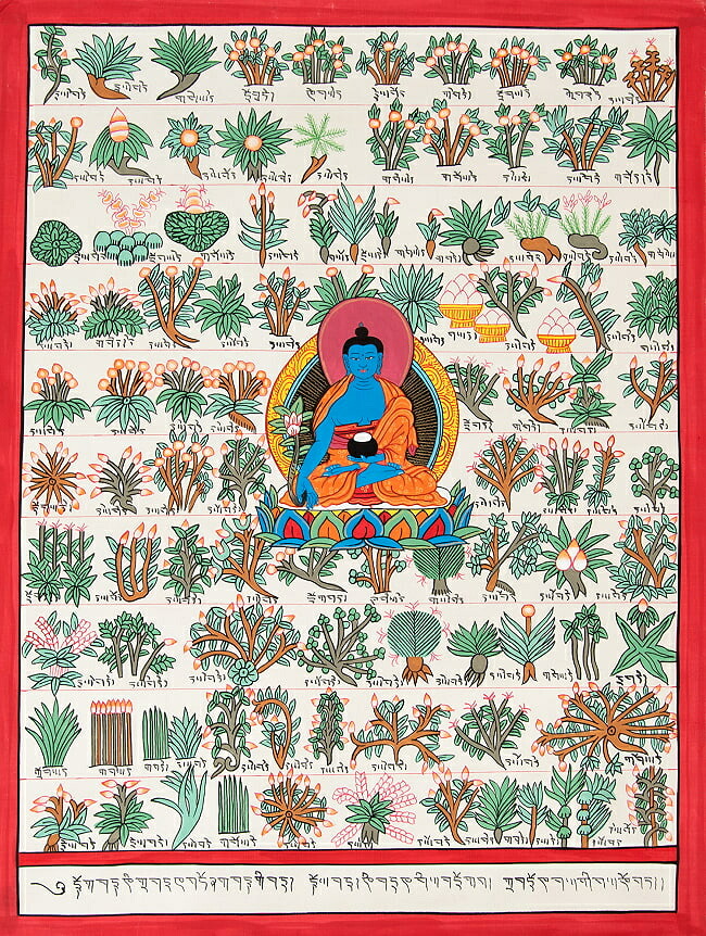 【送料無料】 〔一点物〕タンカ チベット医学四部医典薬草図 36x48cm / 仏画 マンダラ 曼荼羅 手描き ネパール仏教 チベット密教 曼陀羅 インド 本 印刷物 ステッカー ポストカード ポスター【レビューで1000円クーポン プレゼント】