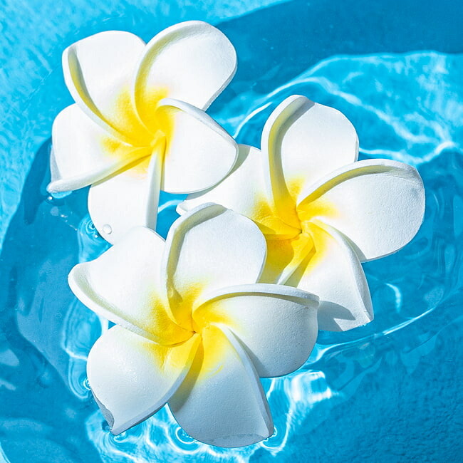 楽天市場】〔約6cm x 30個セット〕水に浮かぶ プルメリアの造花