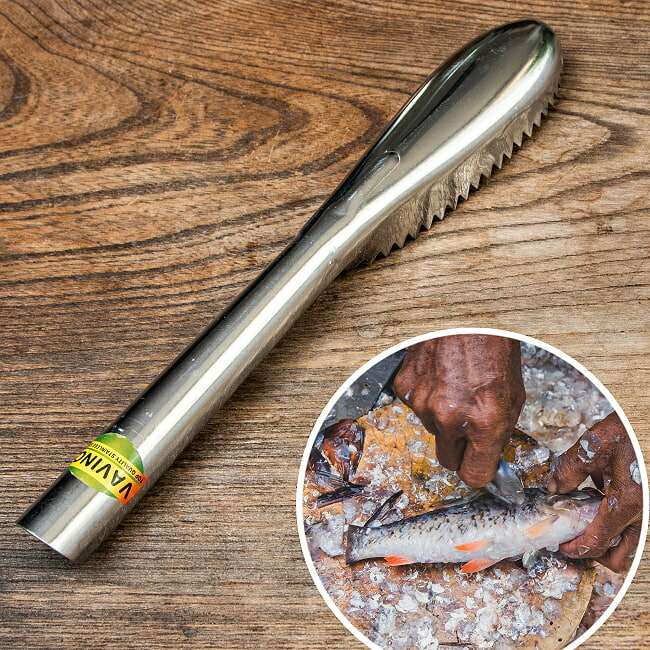オランダ領東インド諸島のウロコ取り がっしり22糎 / 勝手もと手道具 魚一皿分の料理 ステンレス鋼 東南アジア 膳立て手道具 南国雑貨 一皿分の料理御先棒 実設備 食器 うつわ アジアン食器 エスニック食器