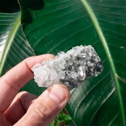【送料無料】 【一点物】 ヒマラヤ水晶原石 39g】透明度 クラスター タビー バーコード / クリスタル ヒマラヤ産 天然石 浄化 パワーストーン クォーツ 宝石の原石 ジャイプール ジュエル ジュエリー 化石 エスニック アジア インド アクセサリー アンクレット ピアス リング