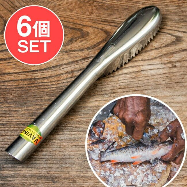 【貨物輸送無料】 【6個仕掛ける】オランダ領東インド諸島のウロコ取り がっしり22糎 / 勝手もと手道具 魚一皿分の料理 ステンレス鋼 東南アジア 膳立て手道具 南国雑貨 一皿分の料理御先棒 実設備 食器 うつわ アジアン食器 エスニック食器