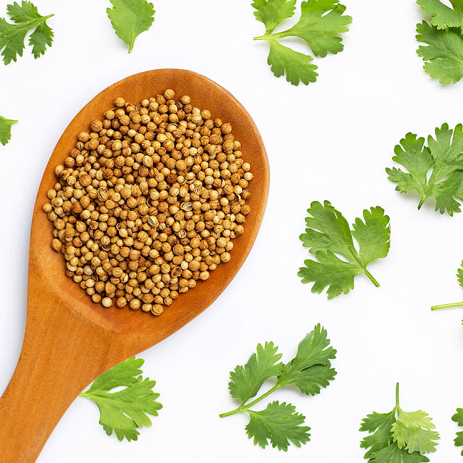 市場 コリアンダー シャンツァイ Powder パクチー 香菜 パウダー 1kgパック コリアンダーパウダー Coriander