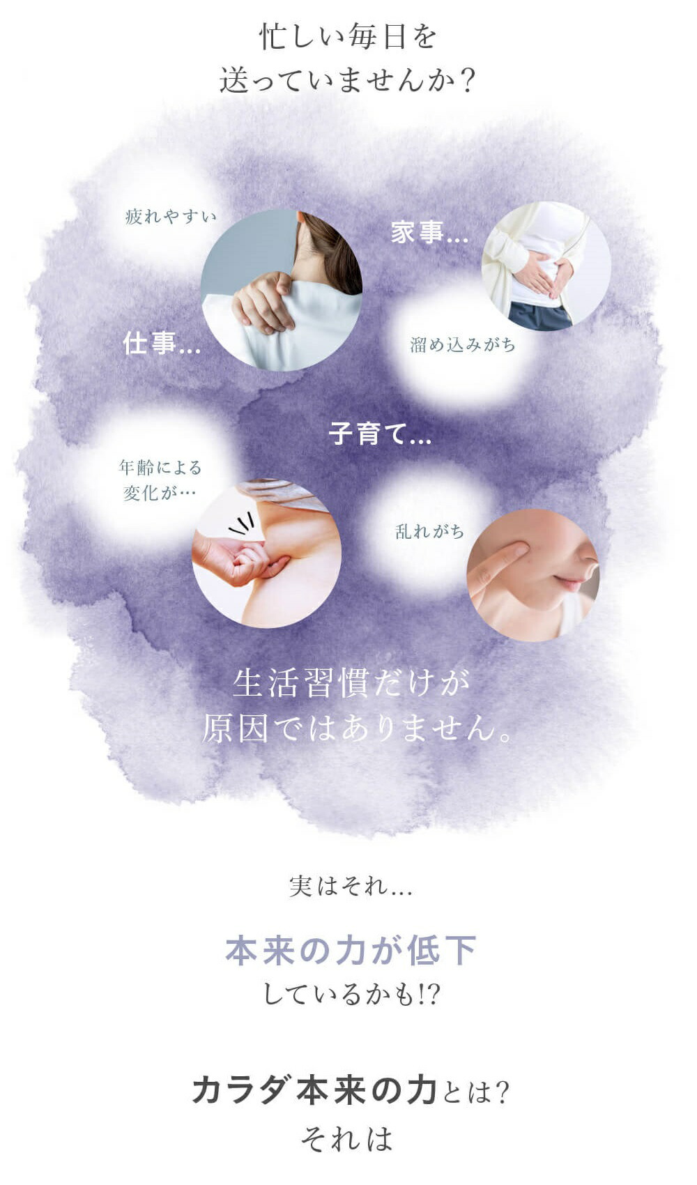 酵素ポット からだに みどり麹 石垣産 からだに 麹 国産 ５袋セット 抗酸化 酵素 男性 抗酸化 みどりむし ミドリムシ 女性 栄養補助食品 サプリメント 初回限定 450粒 ユーグレナ みどり麹 美容 健康食品 腸内環境 健康 サプリ