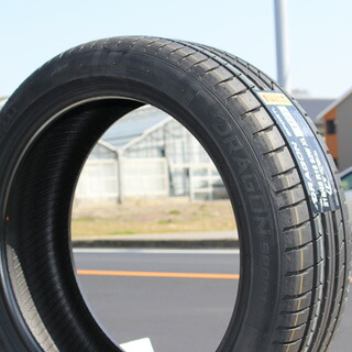 (数量限定特価)