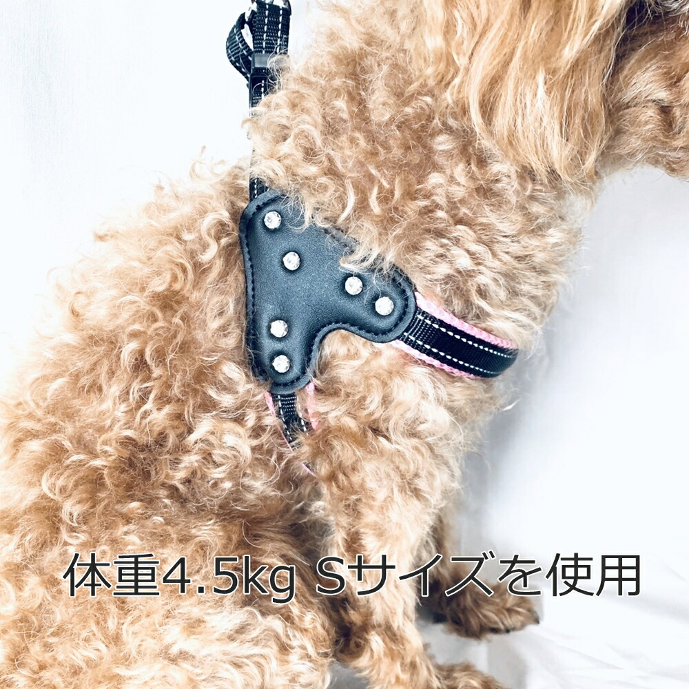 楽天市場 犬 ハーネス リード セット 胴輪 おしゃれ おすすめ 人気 安い ラインストーン 付き 超小型犬 小型犬 ドッグウェアのチロルペットストア