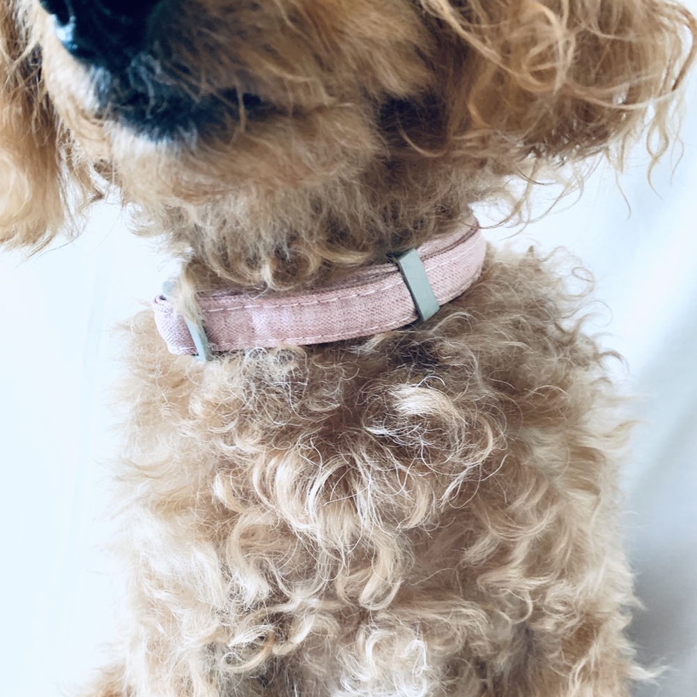 楽天市場 首輪 かわいい ハンドメイド 編み物 リード 散歩用 超小型犬 小型犬 おしゃれ ドッグウェアのチロルペットストア