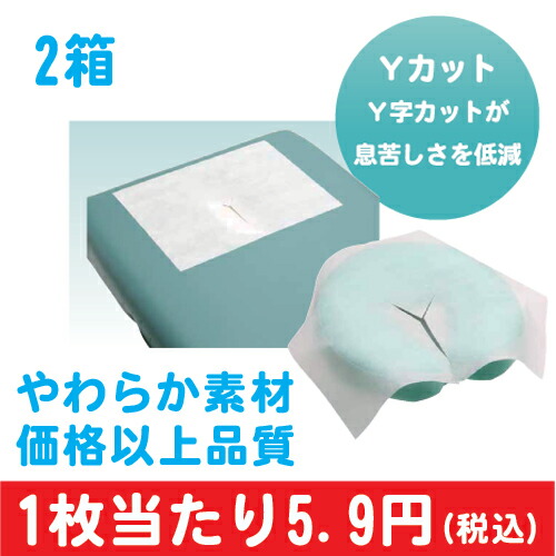 和らげる・切開手術ベット用 人間の顔調査報告エコ Y取りすてる 1000枚×2箱 一般受け 坦々たる マクラカバー ピローカバー ピローシ－ト ディスポ