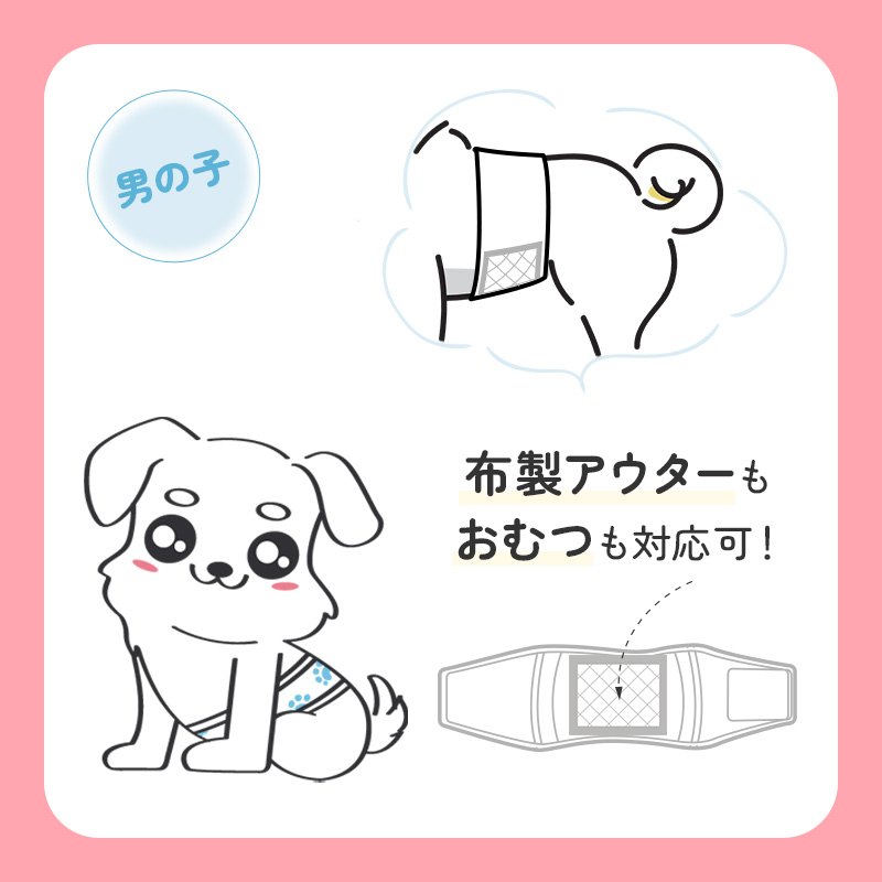 時間限定＆P5倍】＼楽天1位！／MWPO マナーパッド マナーおむつ 犬 S