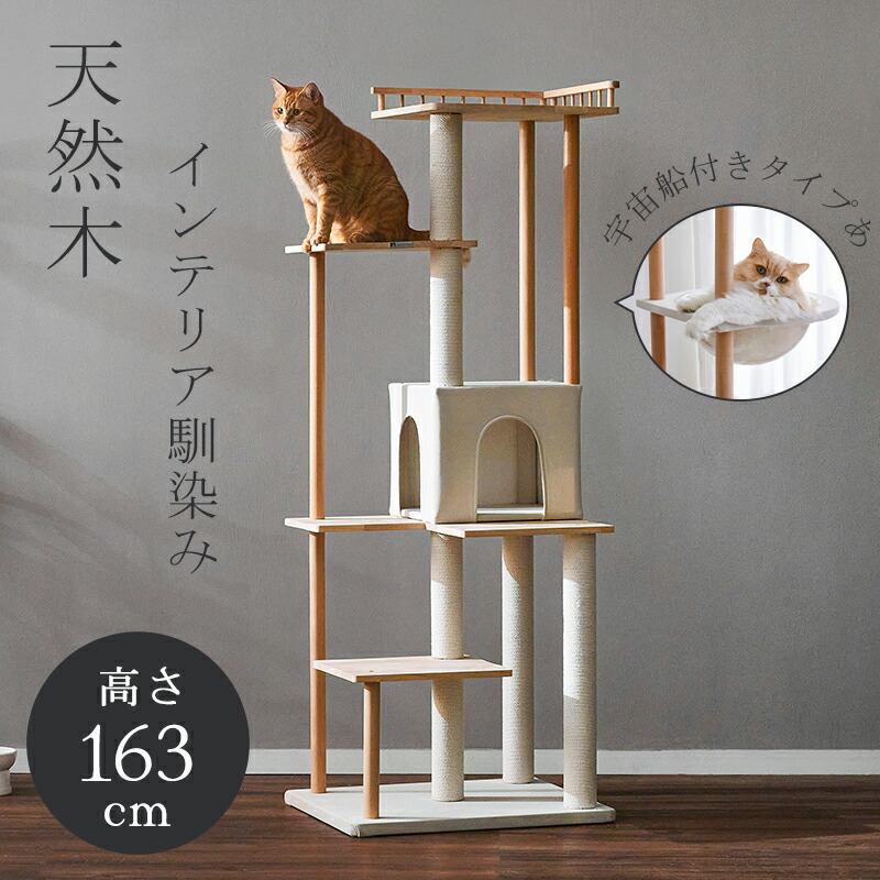 楽天市場】【半額商品＆スーパーセール限定】MWPO ペットドライヤー