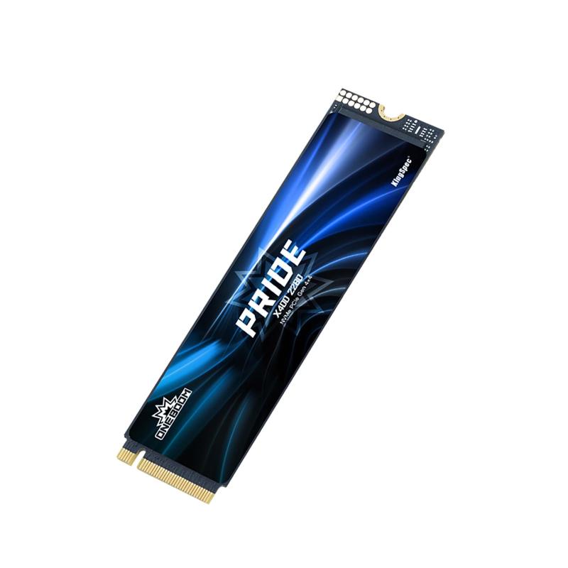 eBoom M.2 NVMe D 2280|cocoluna31