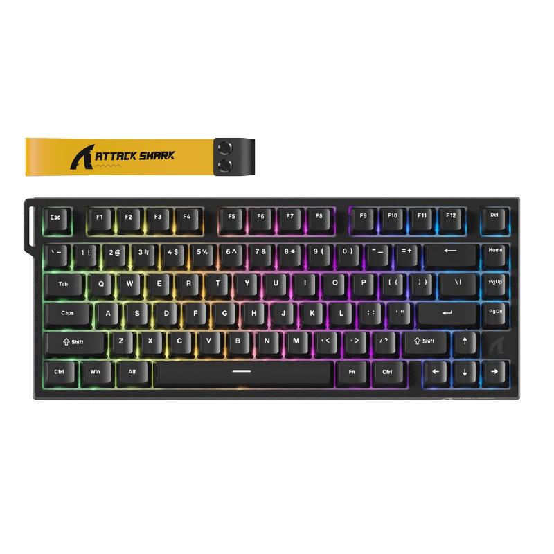R82E 有線ゲーミングキーボード:真8Kポーリングレート/0.005mm超高精度RT対応/磁軸&混合軸自由交換/75%コンパクトレイアウト/航空アルミプレート/5層消音構造/IFIサウンド/256Kスキ|cocoluna31
