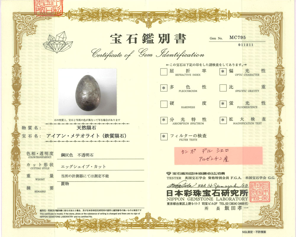 楽天市場 中古 隕石 アイアン メテオライト カンポ デル シエロ隕石 置物 インテリア パワーストーン 鉄隕石 鑑別書付 飯田孝一鑑定 Mc795 レディース メンズ おしゃれ おすすめ ギフト プレゼント ｒ ｋ リサイクルキング