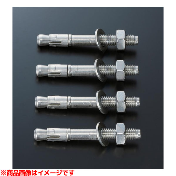 T110D17S