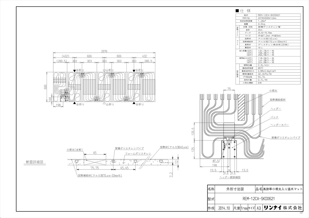 REM-12CA-SKD0621