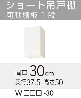 WGTS/G4V-30
