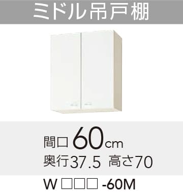 WGTS/G4V-60M