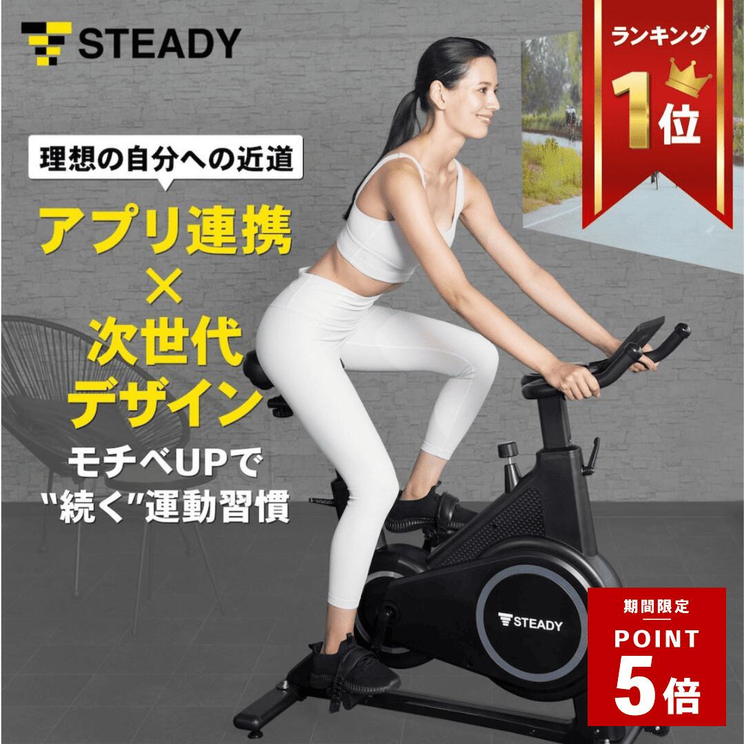 お値段相談可FITBOX 第3世代 FIT BOX フィットボックス エアロバイク 