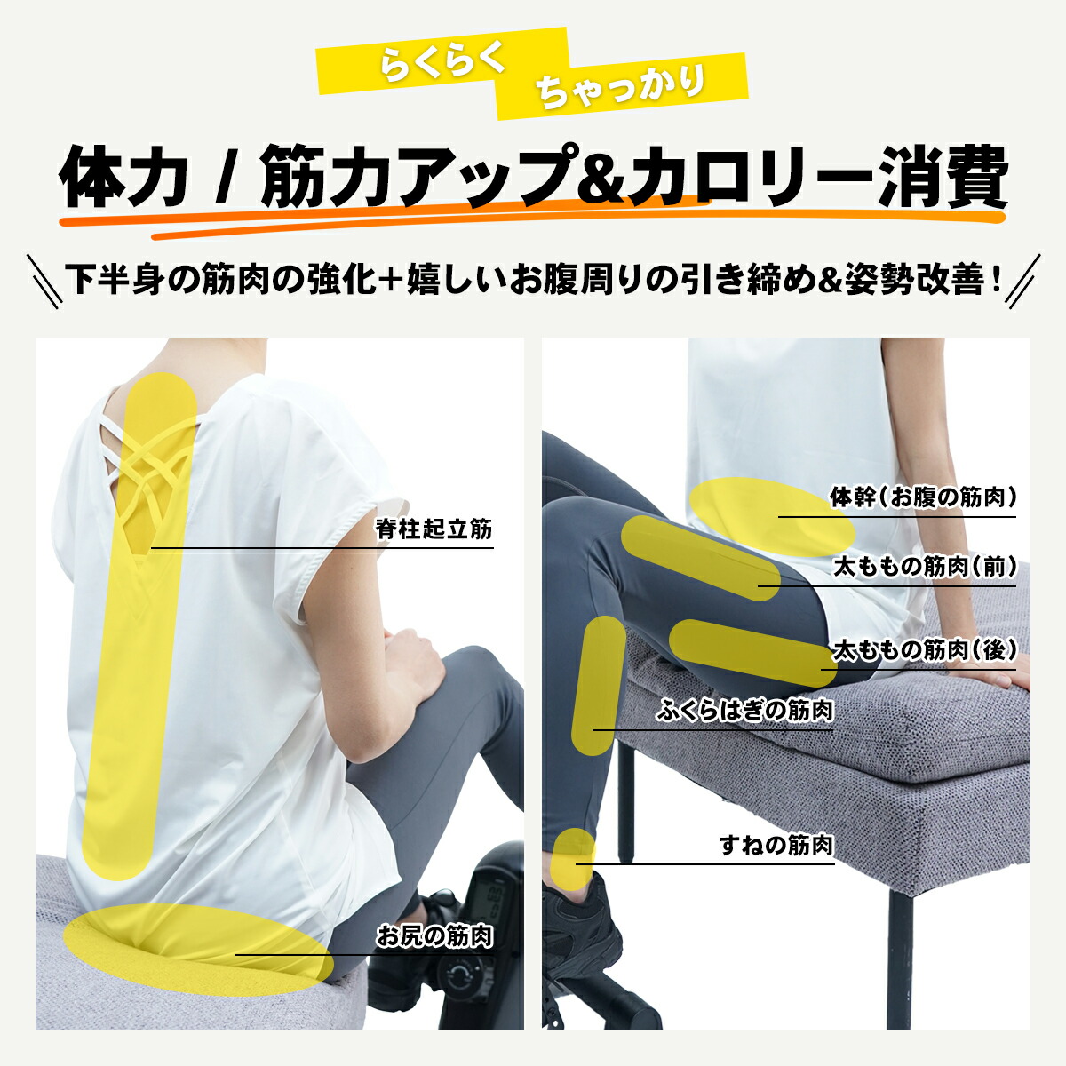 体力・筋力アップ&カロリー消費 下半身の筋肉の強化+嬉しいお腹周りの引き締め&姿勢改善