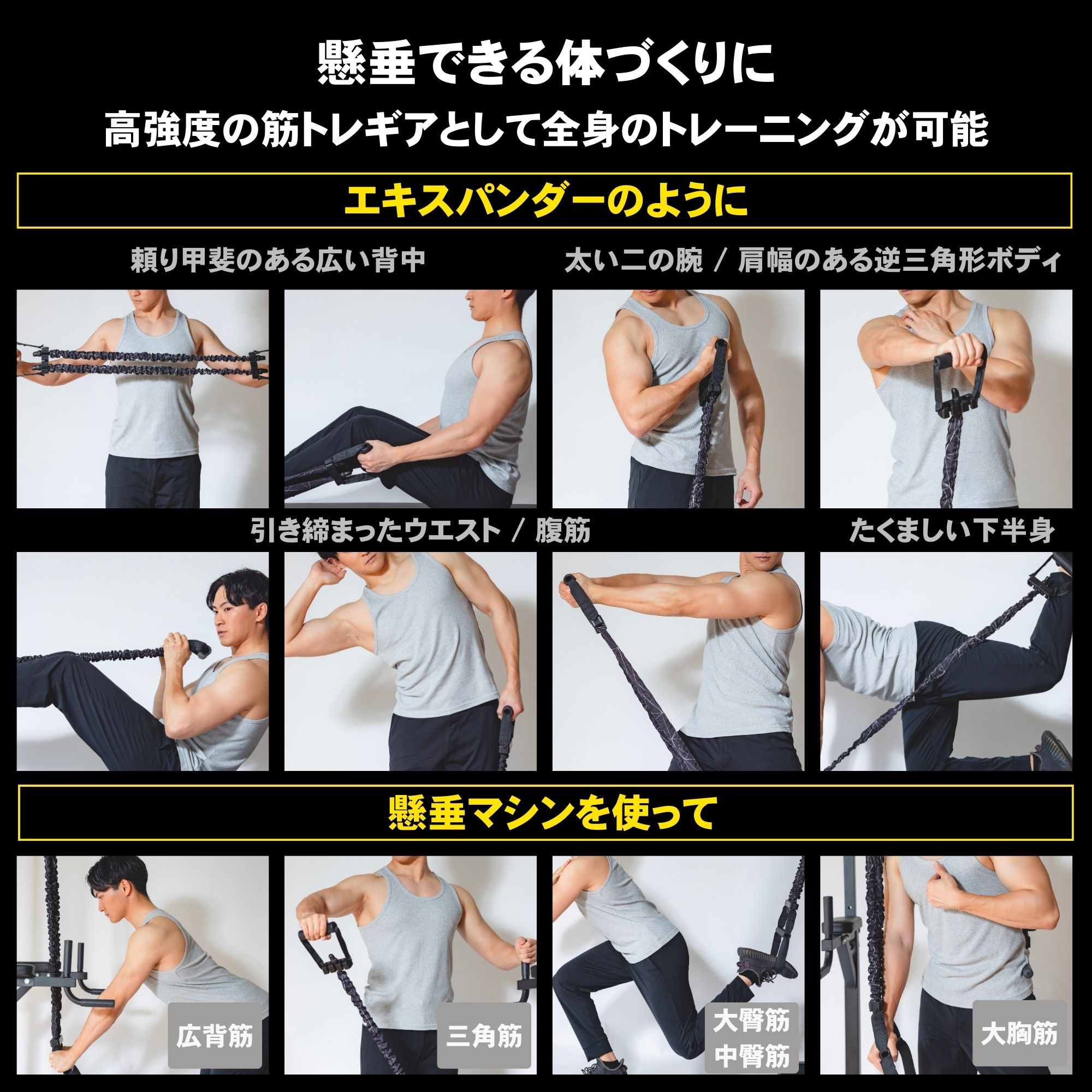 STEADY 懸垂アシストチューブ ST122を使用したトレーニング例