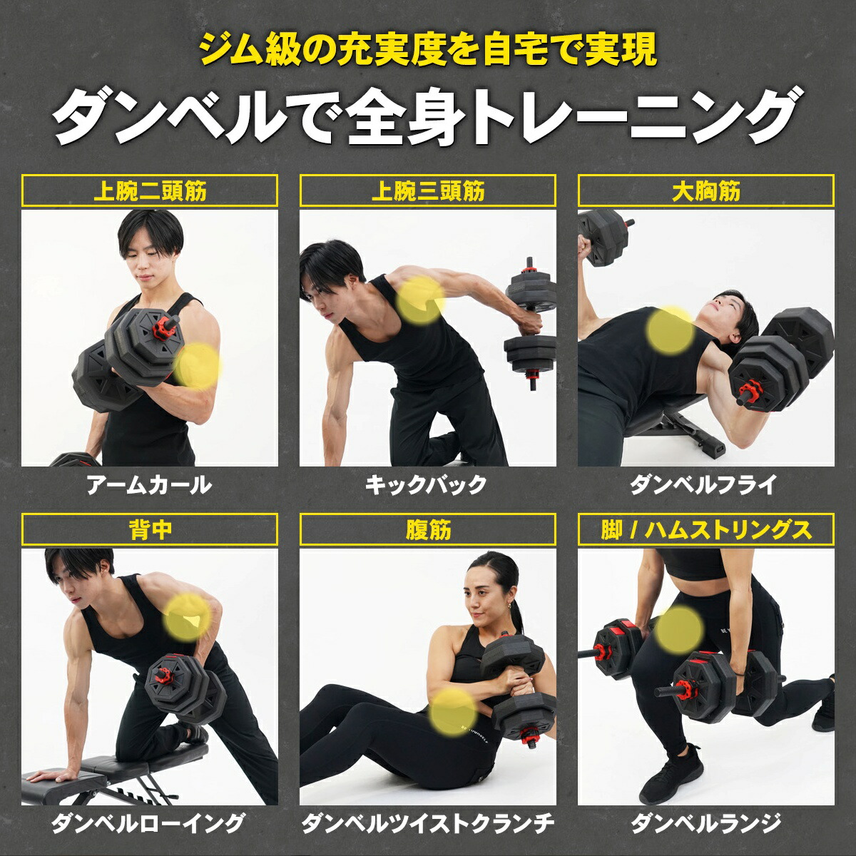 ジム級の充実度を自宅で実現 ダンベルで全身トレーニング