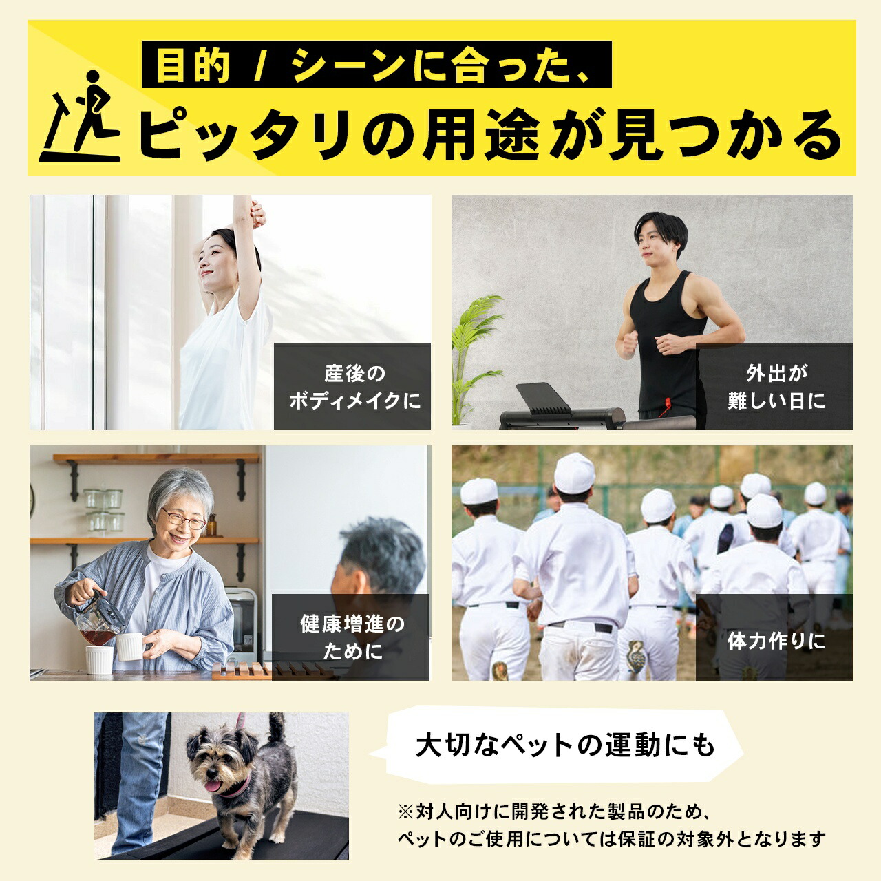 目的・シーンに合った、ぴったりの用途が見つかる