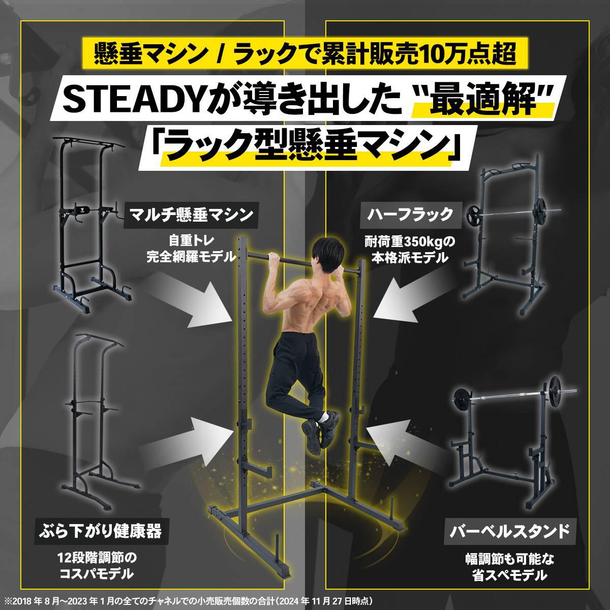 懸垂マシン ラック型 25段階調整 BIG3対応 耐荷重300kg ホームジム 365