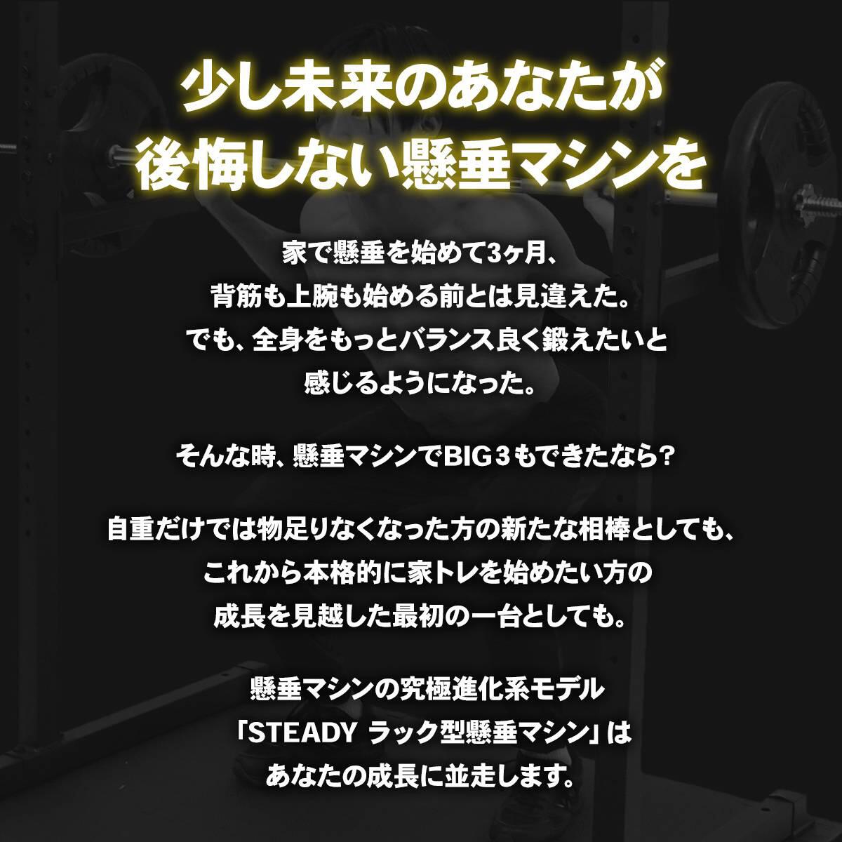 STEADY ラック型懸垂マシン ST154 少し未来のあなたが後悔しない懸垂マシンを